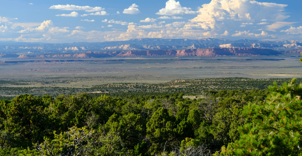 northern arizona landscape green in the spring