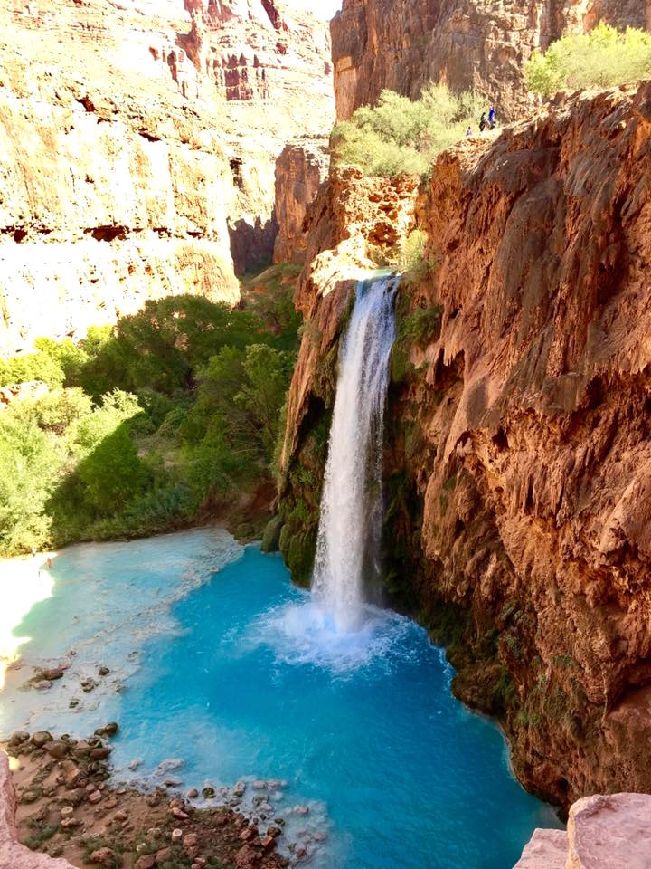 havasu falls falling into bright blue pool of water