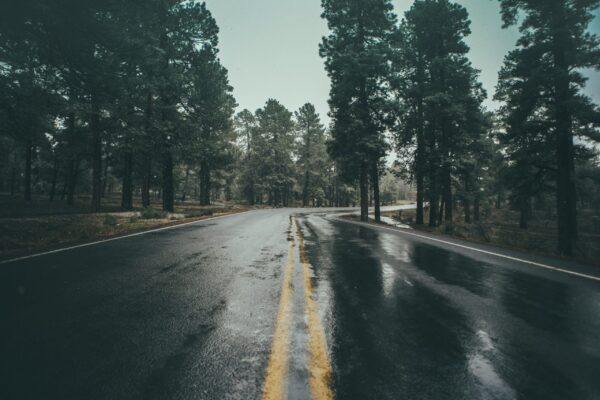 rain on a road winding through a forest
