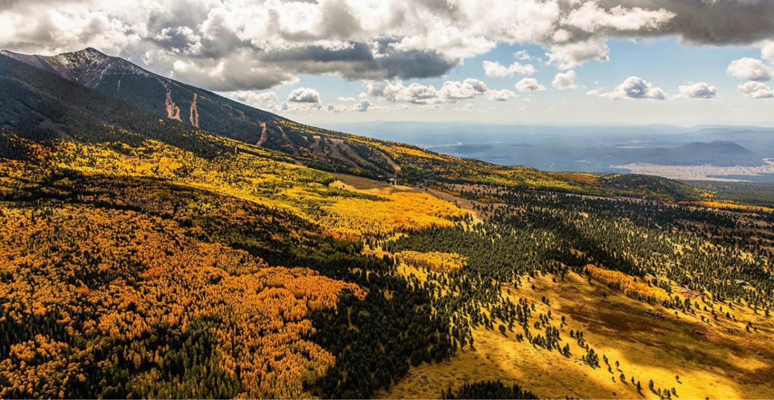 aerial view of golden fall colors at arizona snowbowl