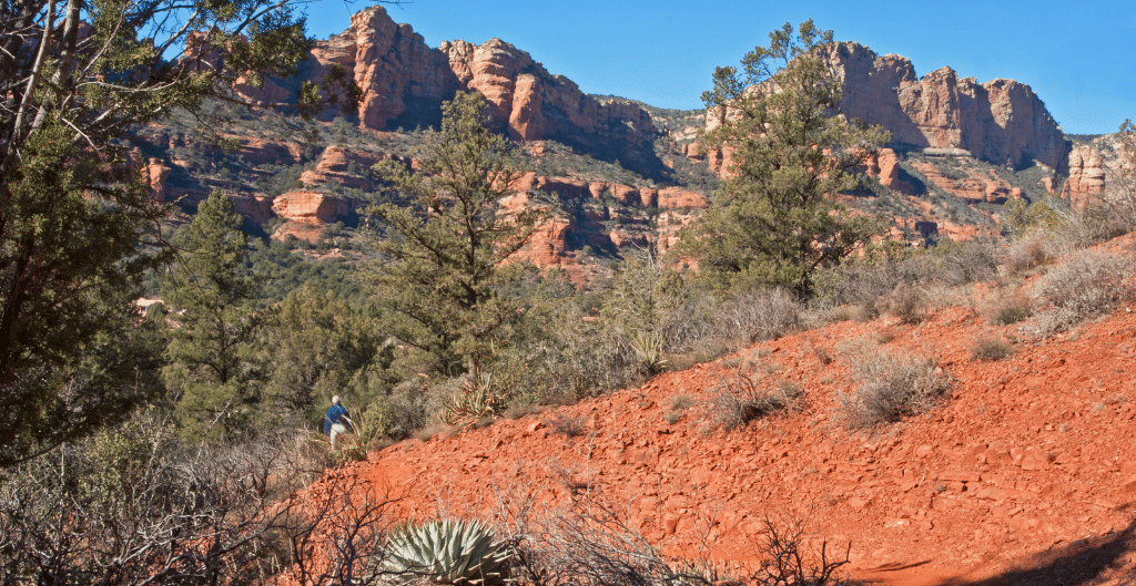 man in the distance walking on boynton canyon trail in sedona with canyon walls above